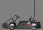 Гонки Cammus взрослых электрические идут мотор максимальной скорости 50km/h 1.2kw Kart